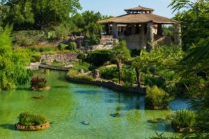 San Antonio Japanese tea garden